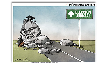 Piñas en el camino